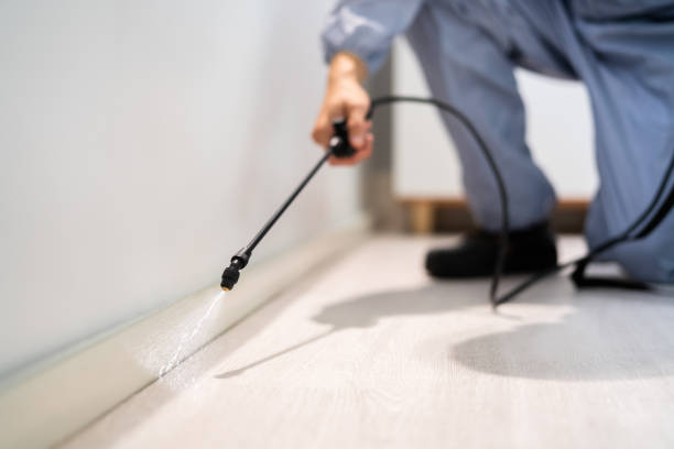 Licensed Pest Control service in Elmo, TX - Show Me Pest Control