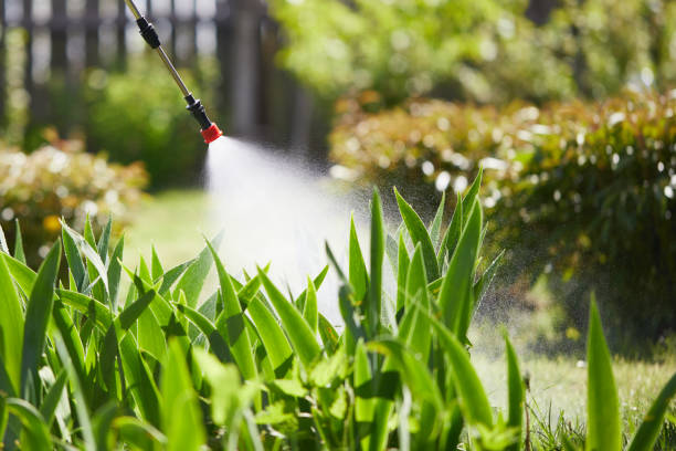 24/7 Emergency Mosquito Control experts in Elmo, TX