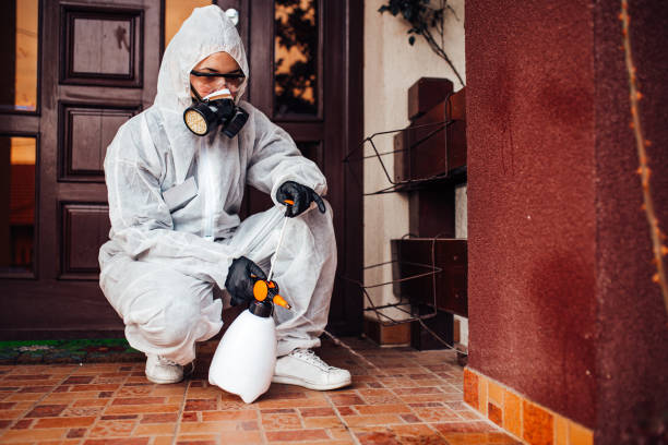Reliable Mosquito Control contractor in Elmo, TX by Show Me Pest Control
